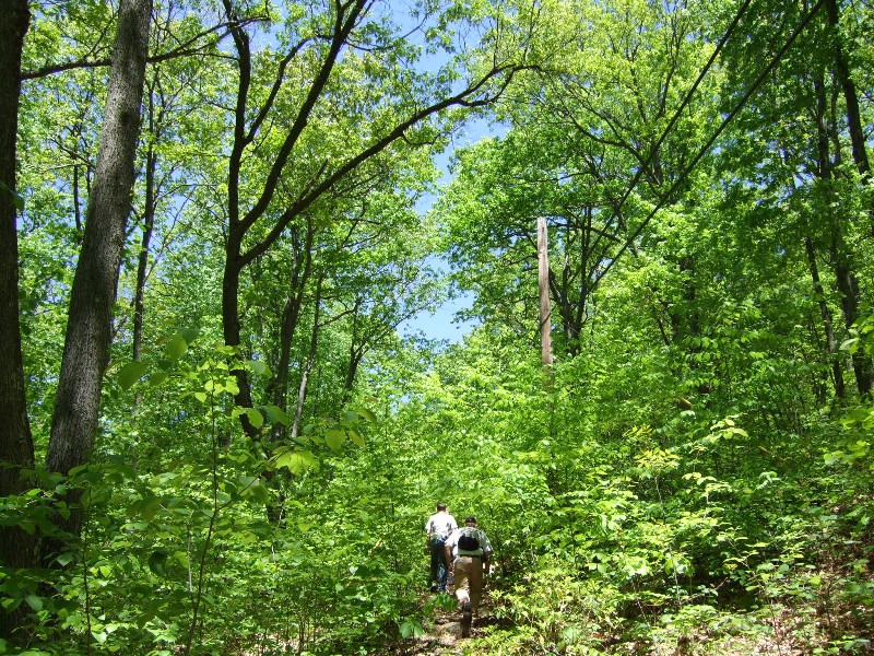 Click to view picture details [10241]