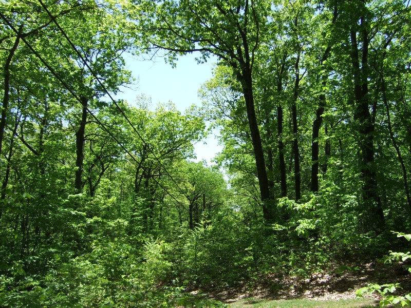 Click to view picture details [10242]