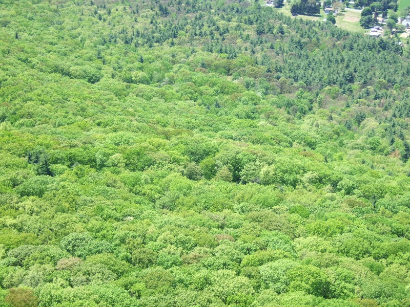 Click to view picture details [10258]