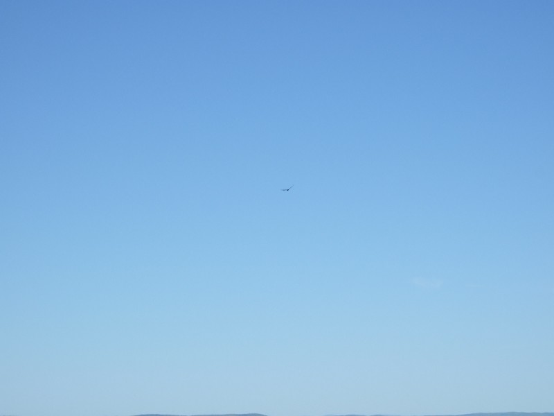 Click to view picture details [10260]