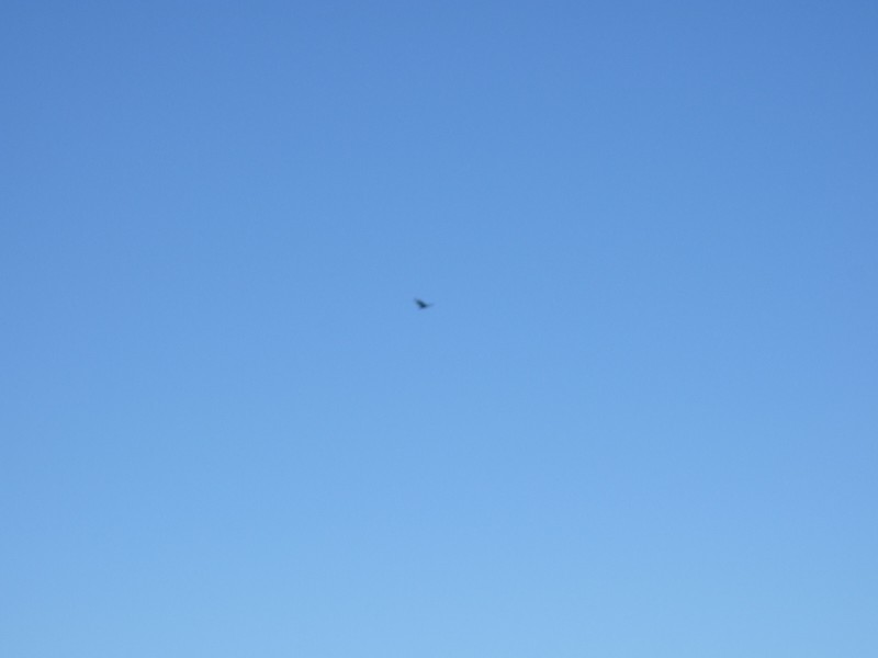 Click to view picture details [10261]