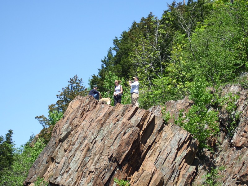 Click to view picture details [10269]