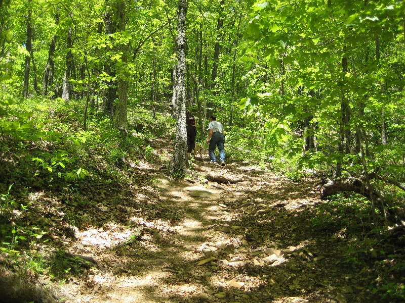 Click to view picture details [10326]