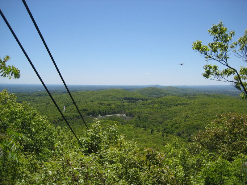 Click to view picture details [10330]