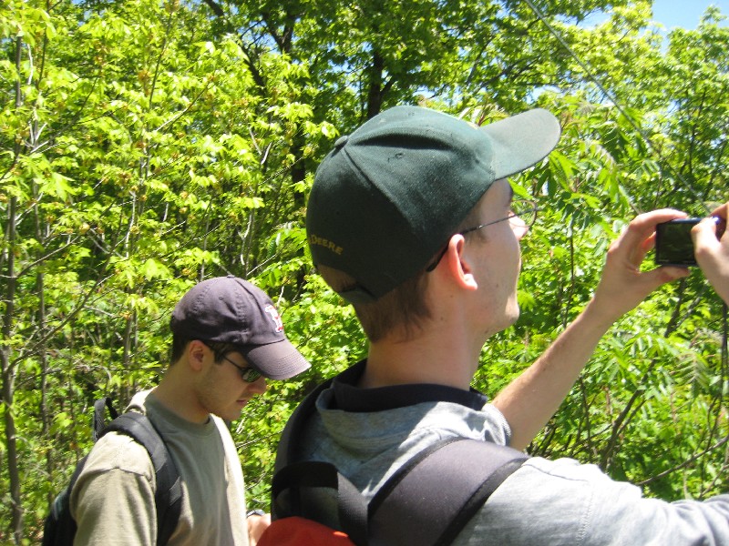 Click to view picture details [10331]