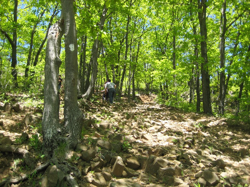 Click to view picture details [10333]