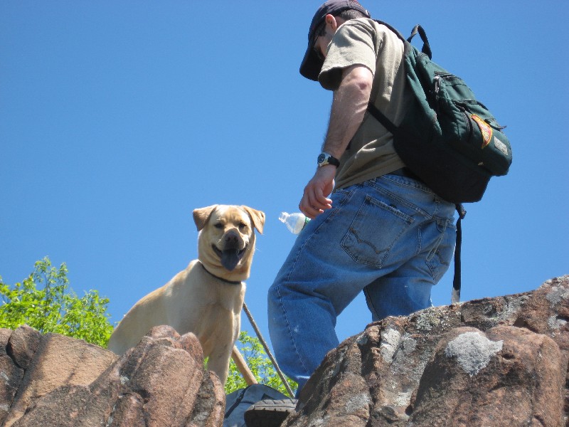 Click to view picture details [10337]