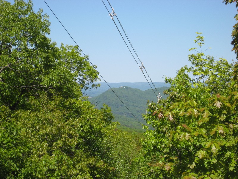 Click to view picture details [10347]