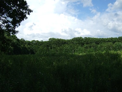 Click to view picture details [10715]