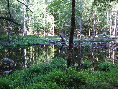 Click to view picture details [10724]