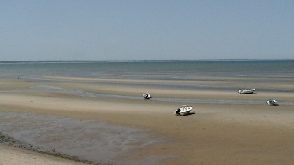 Click to view picture details [10795]