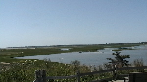 Click to view picture details [10798]