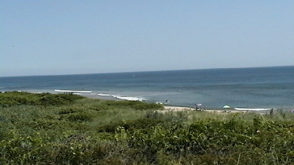 Click to view picture details [10802]