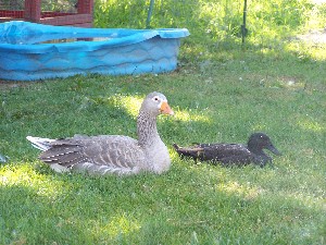 Click to view picture details [11752]