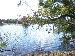 Click to view picture details [12093]