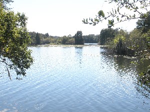 Click to view picture details [12094]