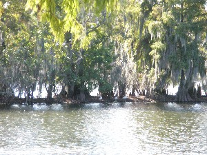 Click to view picture details [12095]