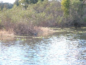 Click to view picture details [12107]