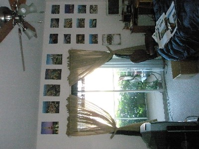 Click to view picture details [12181]