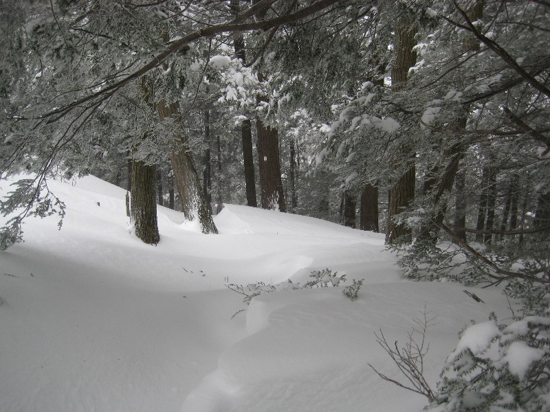 Click to view picture details [12825]