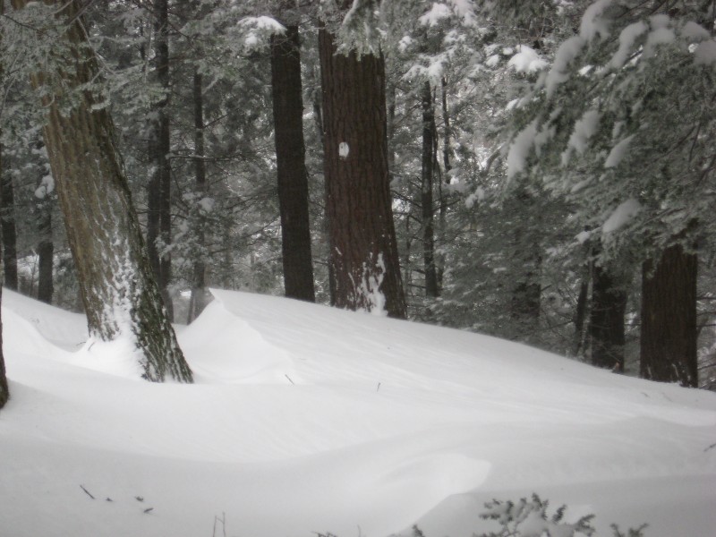 Click to view picture details [12826]