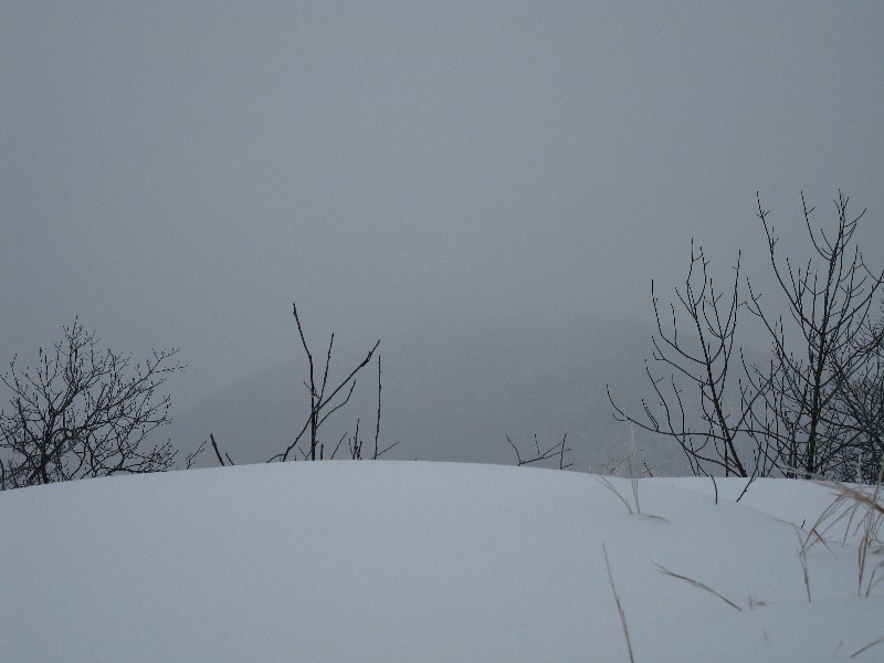 Click to view picture details [12844]