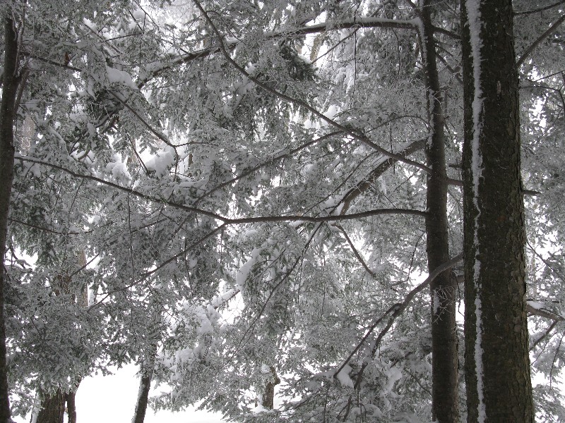 Click to view picture details [12848]