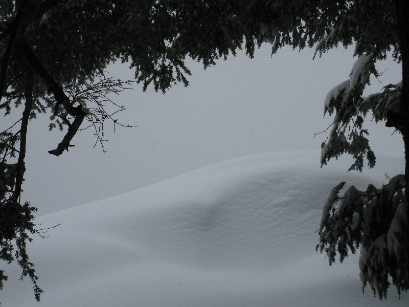 Click to view picture details [12850]