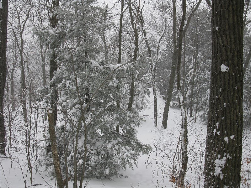 Click to view picture details [12851]