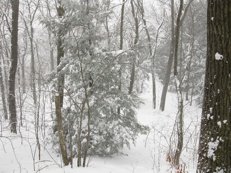 Click to view picture details [12852]