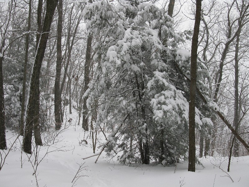 Click to view picture details [12853]