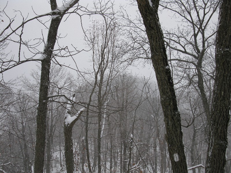 Click to view picture details [12855]