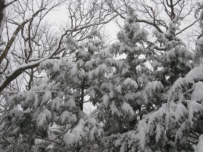 Click to view picture details [12856]