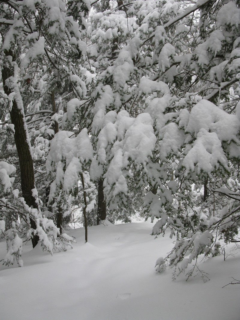 Click to view picture details [12860]