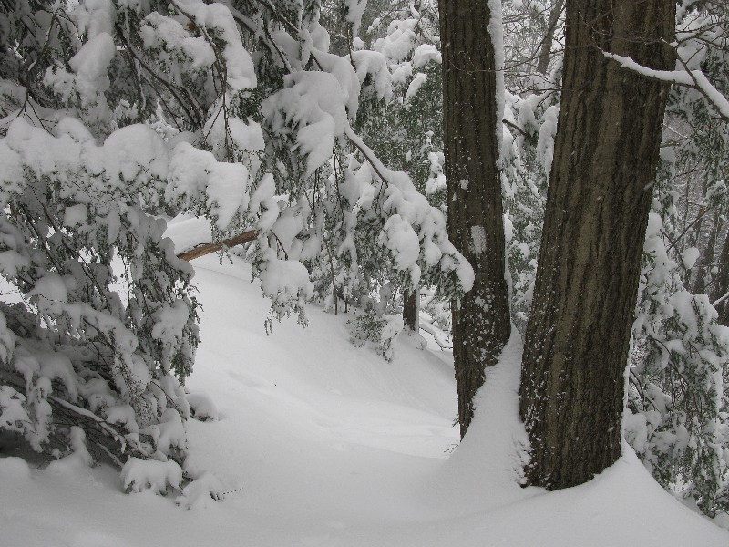 Click to view picture details [12868]