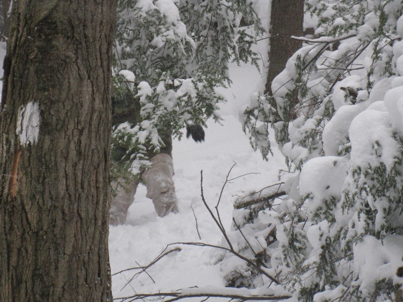 Click to view picture details [12869]