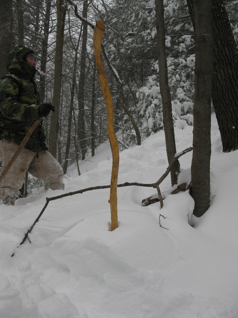 Click to view picture details [12870]