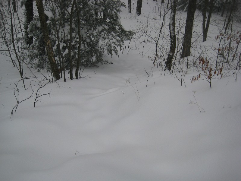 Click to view picture details [12879]