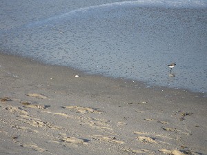 Click to view picture details [12960]