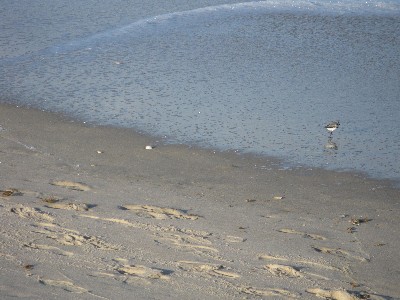 Click to view picture details [12960]