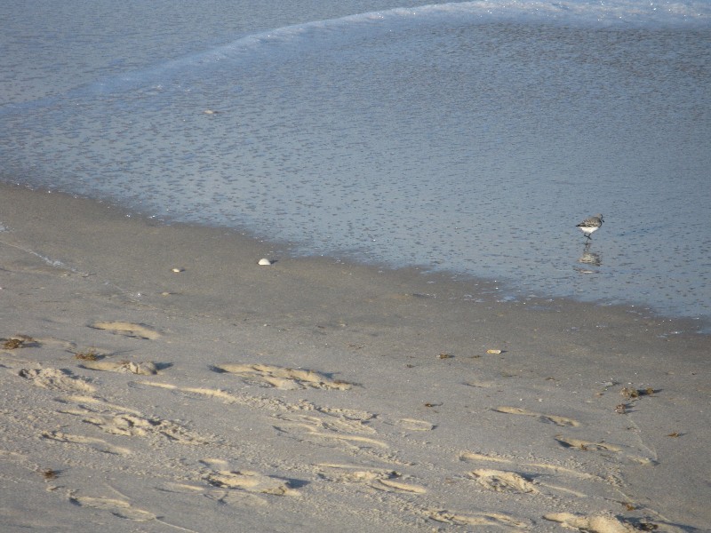 Click to view picture details [12960]