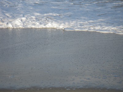 Click to view picture details [12961]