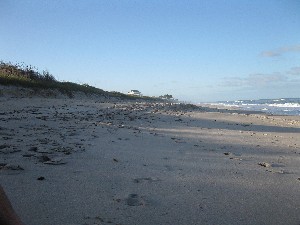 Click to view picture details [12964]