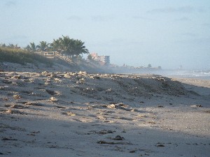 Click to view picture details [12965]