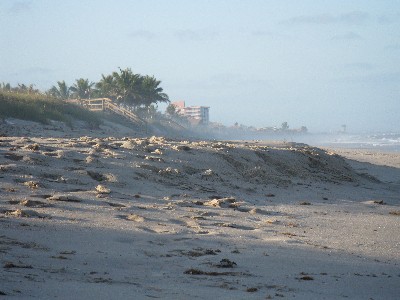 Click to view picture details [12965]