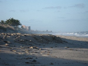 Click to view picture details [12966]