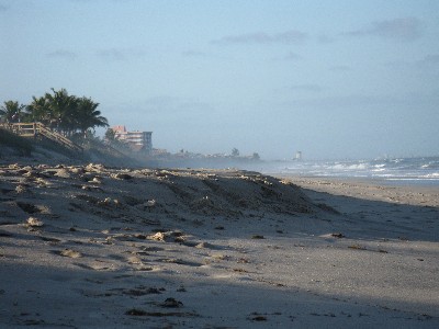 Click to view picture details [12966]