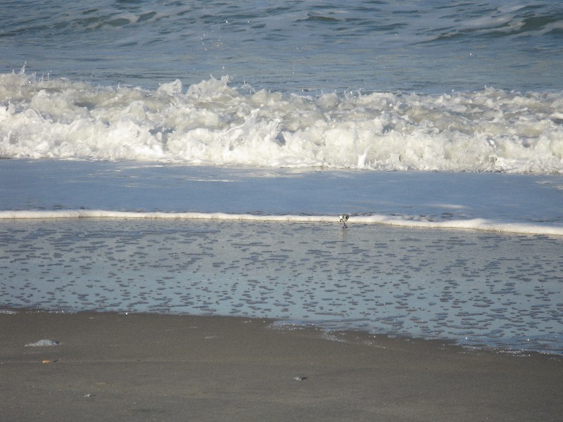 Click to view picture details [12967]