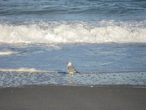 Click to view picture details [12968]