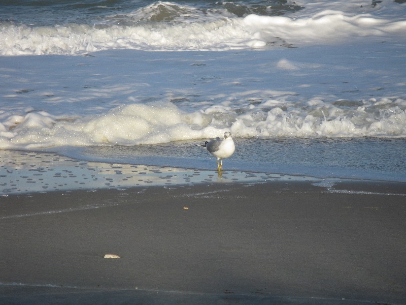 Click to view picture details [12969]